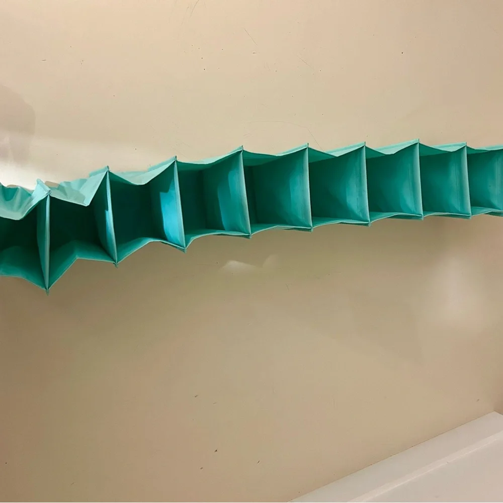 💜BOGO Teal shoe organizer